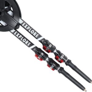 Aluminum Backcountry Poles - Image 3