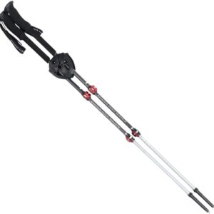 Aluminum Backcountry Poles - Image 6