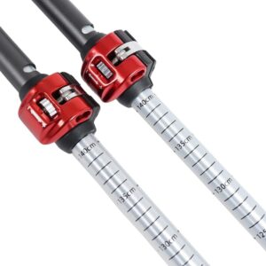 Aluminum Backcountry Poles - Image 8