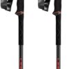 Aluminum Trekking Poles