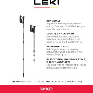 Aluminum Walking Poles - Image 2