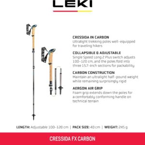 Carbon Walking Poles - Image 2