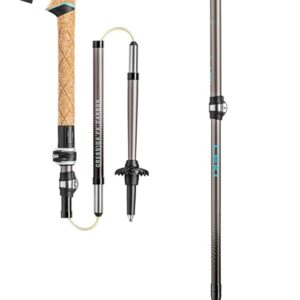 Carbon Walking Poles