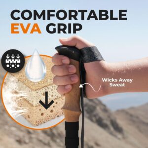 Collapsible Hiking Poles - Image 4