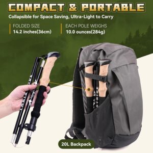 Lightweight Trekking Poles - Image 2