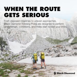Ultralight Trekking Poles - Image 7